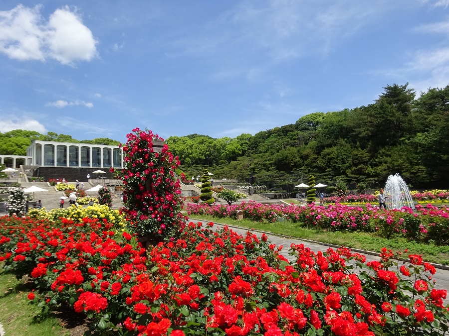 須磨離宮公園<br>